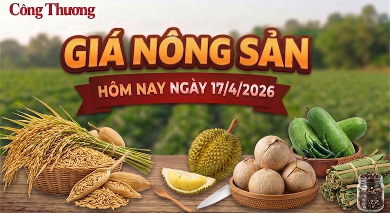 Giá nông sản hôm nay 17/4/2026: Đồng loạt giảm sâu
