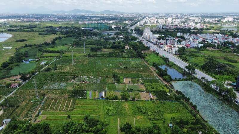 Cơ sở dữ liệu đất đai: 'Chìa khóa' cho quản lý và giao dịch minh bạch 