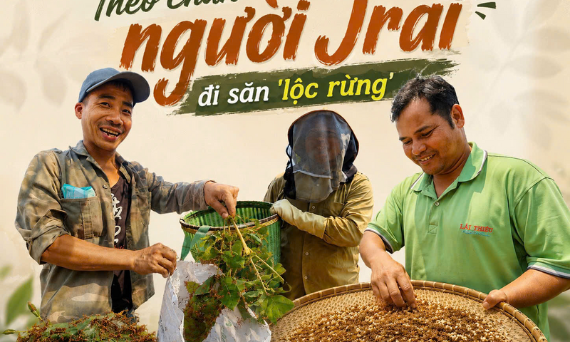 Theo chân người Jrai đi săn 'lộc rừng'