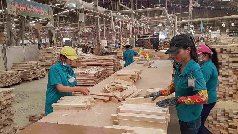 Xây dựng dữ liệu vùng trồng để mở đường cho nông, lâm sản vào EU