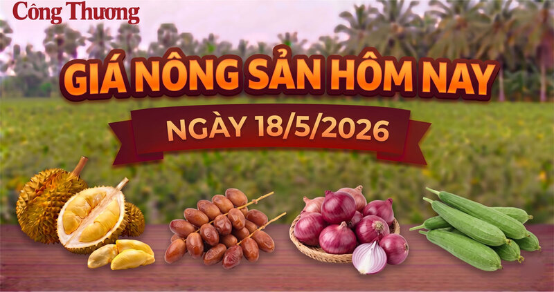Giá nông sản hôm nay ngày 18/5: Nhiều mặt hàng có xu hướng tăng giá