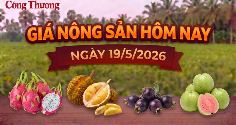 Giá nông sản hôm nay ngày 19/5: Nhiều mặt hàng vào mùa hút khách