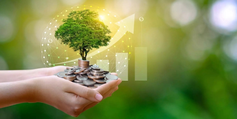Khơi dòng vốn xanh cho sản xuất nông nghiệp giảm phát thải