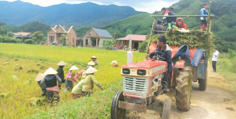 Xã A Lưới 1: Phát triển nông nghiệp gắn với nâng cao giá trị, bền vững