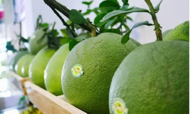 Xuất khẩu quả bưởi, chanh sang Trung Quốc: Cơ hội đi cùng áp lực