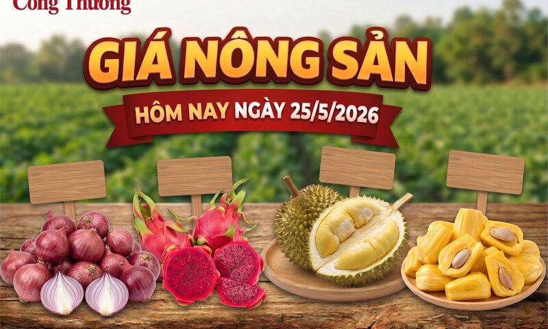 Giá nông sản hôm nay ngày 25/5: Sầu riêng có xu hướng phục hồi