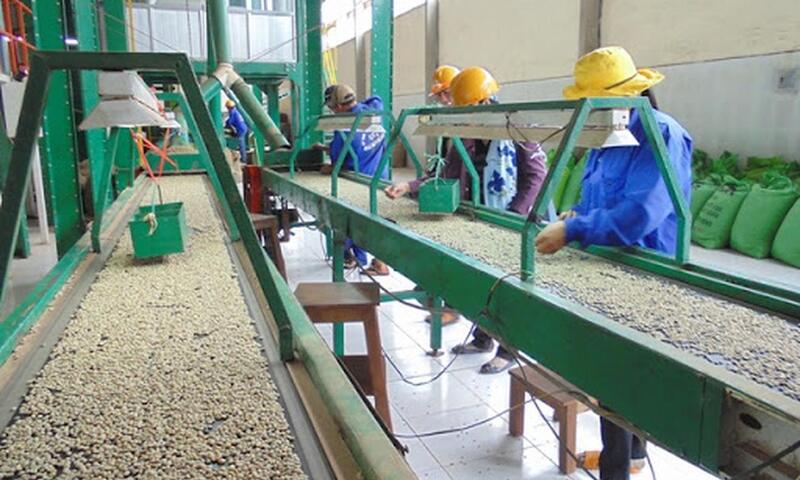 Xây dựng kế hoạch, tổ chức thực hiện, quản lý kinh phí khuyến công quốc gia
