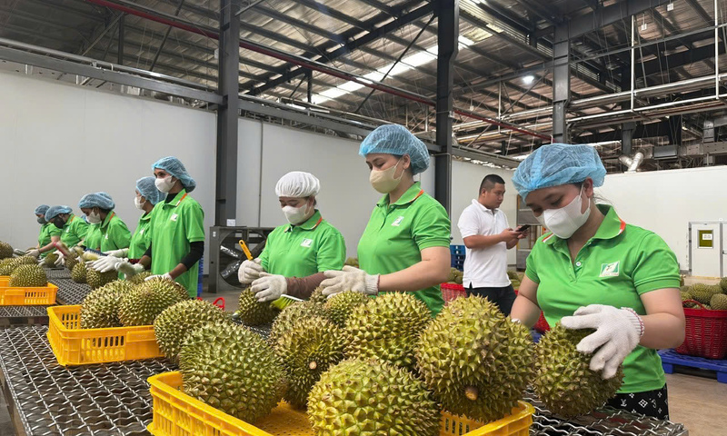 Nông sản Việt trước sức ép đổi chuẩn xuất khẩu