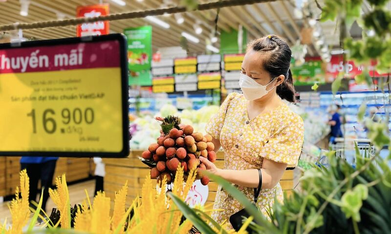Vải Thanh Hà lên kệ tại hơn 800 điểm bán Saigon Co.op toàn quốc dịp hè
