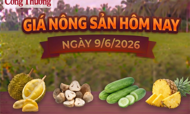Giá nông sản hôm nay, ngày 9/6: Sầu Thái ở mức cao