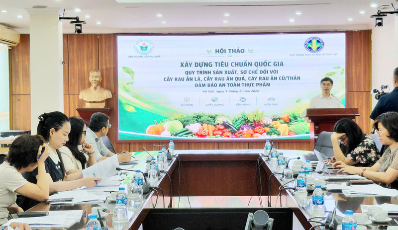 Chuẩn hóa sản xuất rau an toàn: Hướng tới dễ làm, dễ kiểm soát