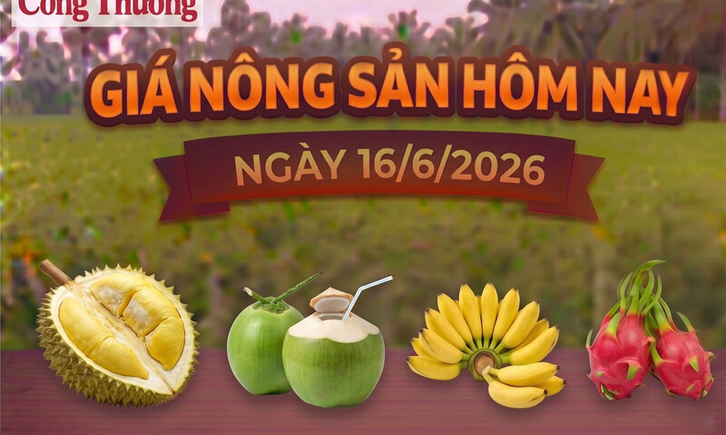 Giá nông sản hôm nay, ngày 16/6: Chuối ngự tiến vua được giá