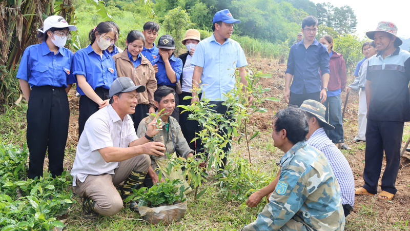Từ 'đại hội không hoa' đến tư duy sử dụng nguồn lực hiệu quả