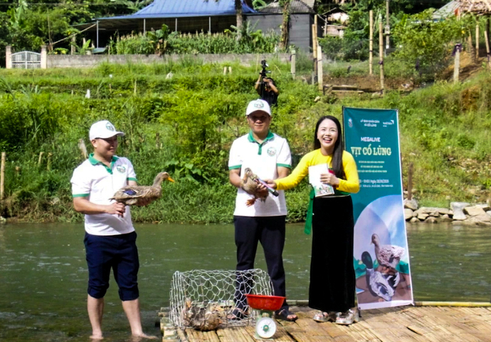 Thanh Hóa: Đưa đặc sản vịt Cổ Lũng lên sàn thương mại điện tử