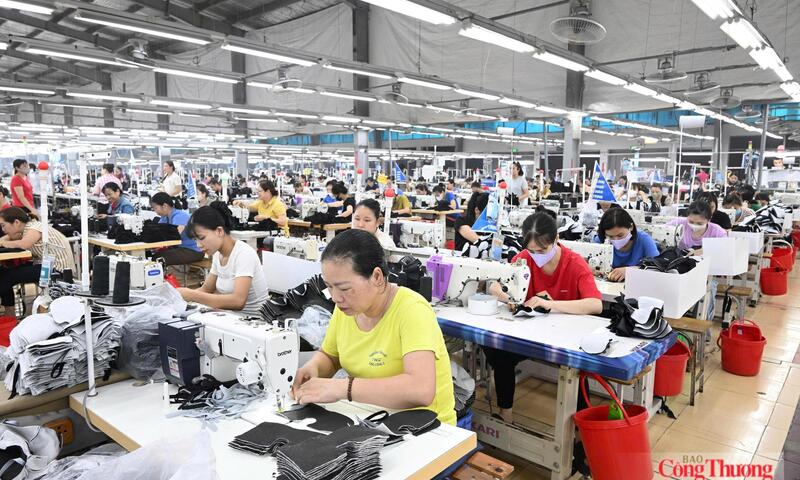 EVFTA và hàng Việt tại Bắc Âu: Hiệu quả thương mại trước sức ép tiêu chuẩn mới