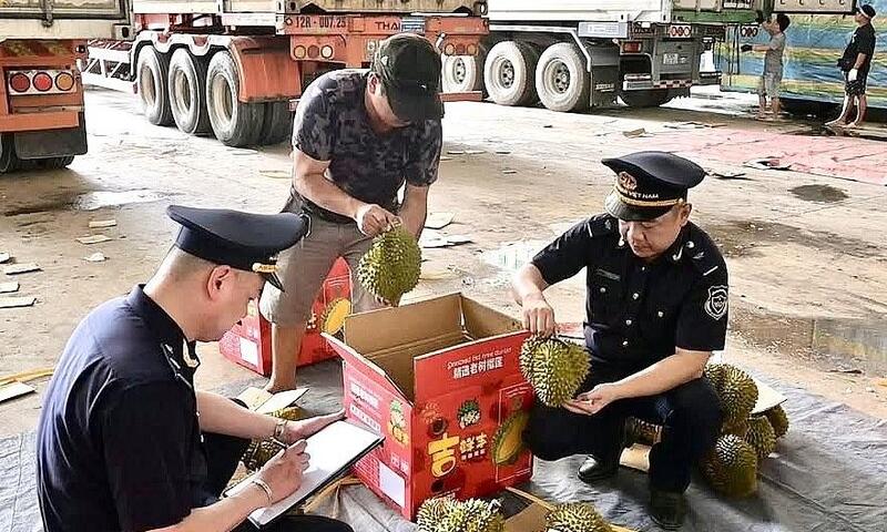 Kịp thời hỗ trợ, tạo thuận lợi cho hàng nông sản xuất khẩu