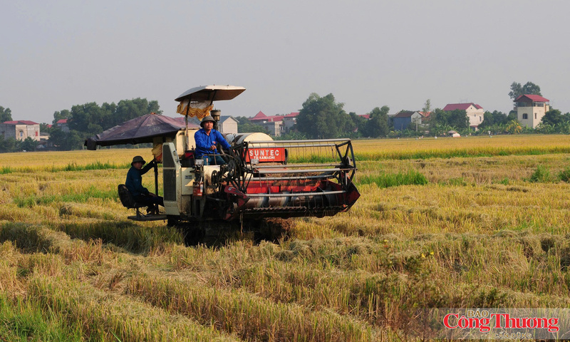 Nông dân làm giàu cho đất từ chế phẩm sinh học