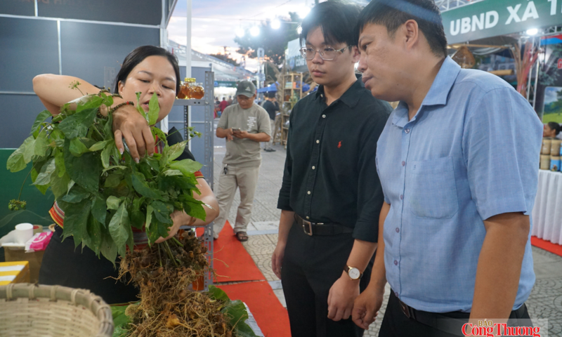 Sâm Ngọc Linh xuống phố: Kênh kết nối tiền tỷ