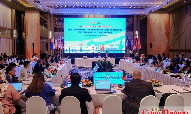 Việt Nam cùng CPTPP mở rộng không gian hợp tác mới