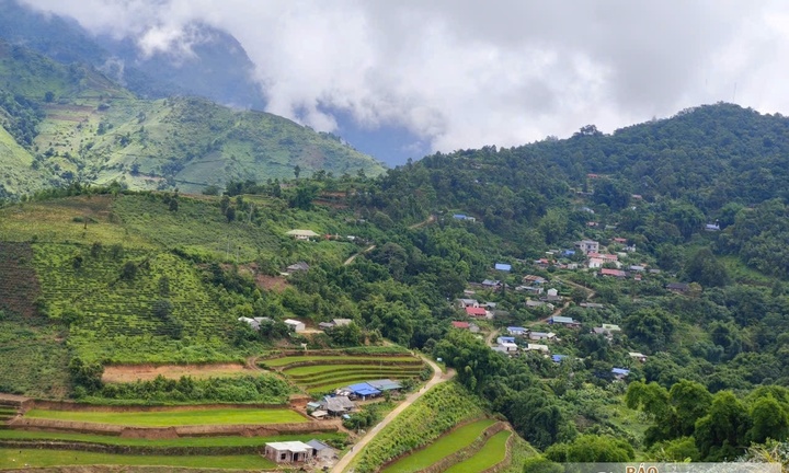Khám phá đường đá cổ Pavi và rừng chè cổ thụ giữa đại ngàn Sin Suối Hồ