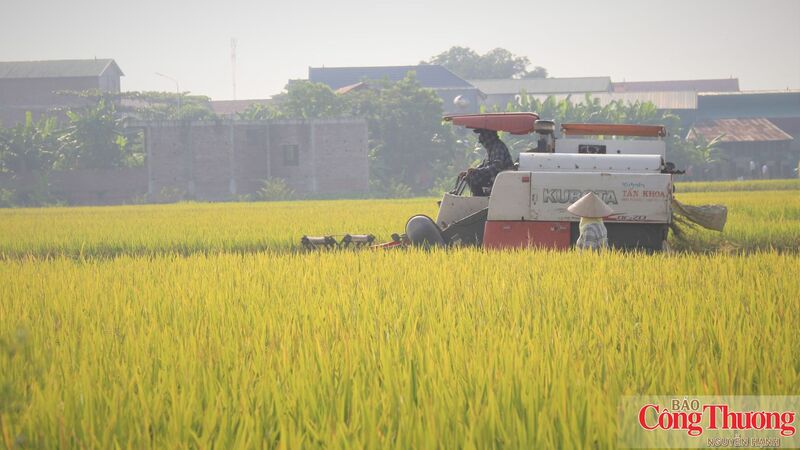 Tháo gỡ điểm nghẽn để tăng tốc xuất khẩu nông, lâm, thủy sản cuối năm