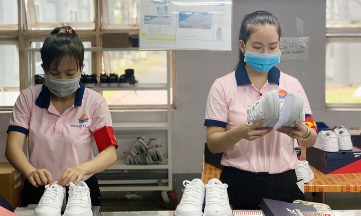 EuroCham: EVFTA kiến tạo hệ sinh thái kinh tế bổ trợ Việt Nam - EU