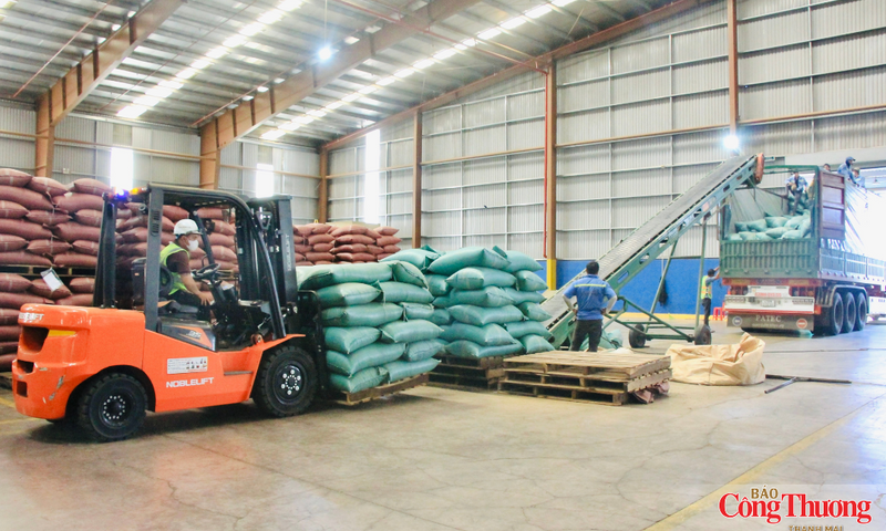 Cà phê tiếp tục giữ 'ngôi vương' xuất khẩu của Gia Lai