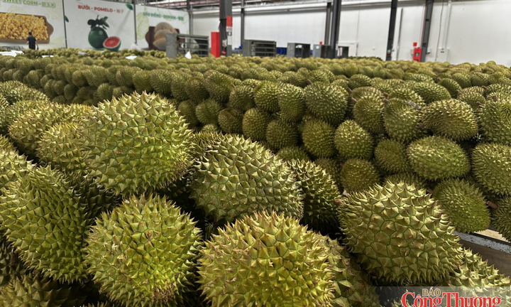 Mã số vùng trồng: Cấp dễ hơn, quản chặt hơn
