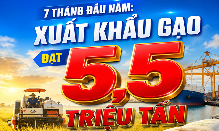 Infographic | 7 tháng đầu năm: Xuất khẩu gạo đạt 5,5 triệu tấn