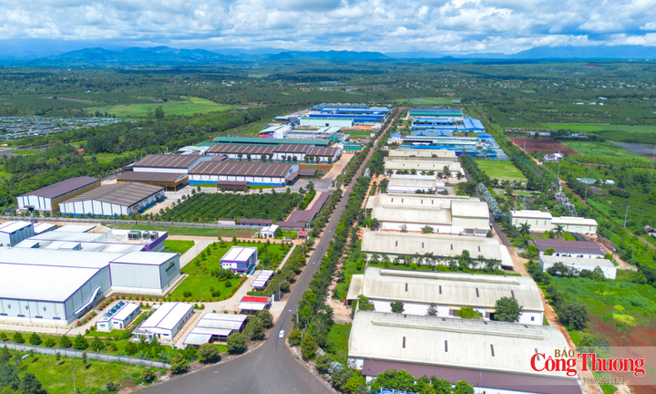 Gia Lai: Công nhận kết quả trúng đấu giá hơn 23 ha đất Cụm công nghiệp Bùi Thị Xuân 