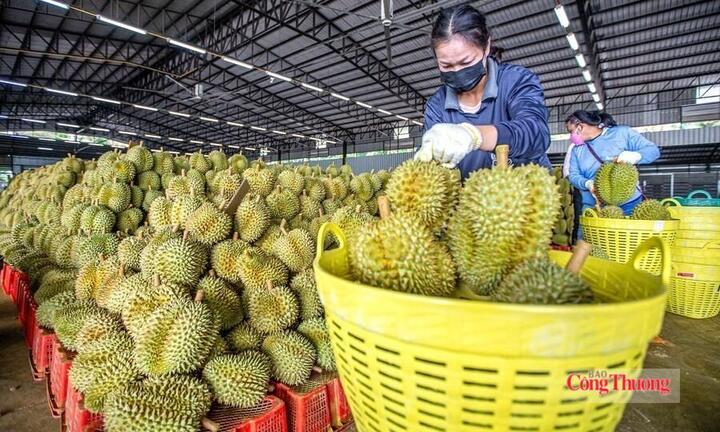 Nhiều thị trường điều chỉnh SPS, nông sản xuất khẩu cần lưu ý gì?