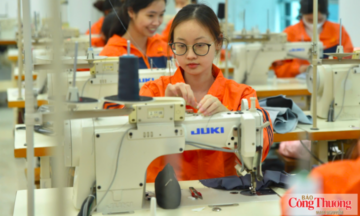 Nâng cao năng lực tuân thủ: 'Chìa khóa' để doanh nghiệp nhỏ và vừa tận dụng CPTPP