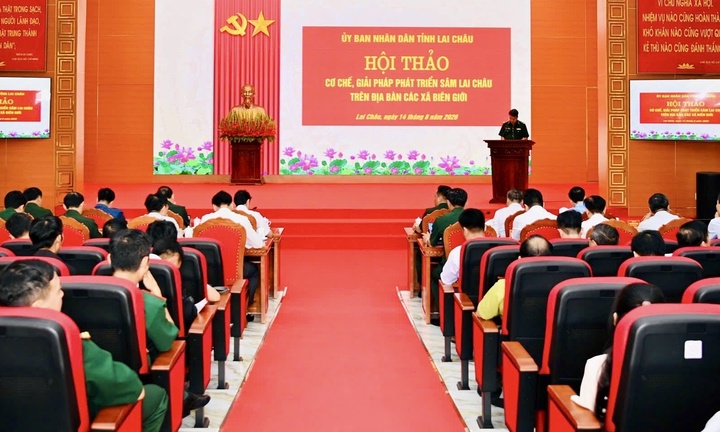 Lai Châu đặt mục tiêu phát triển 1.350 ha Sâm tại các xã biên giới