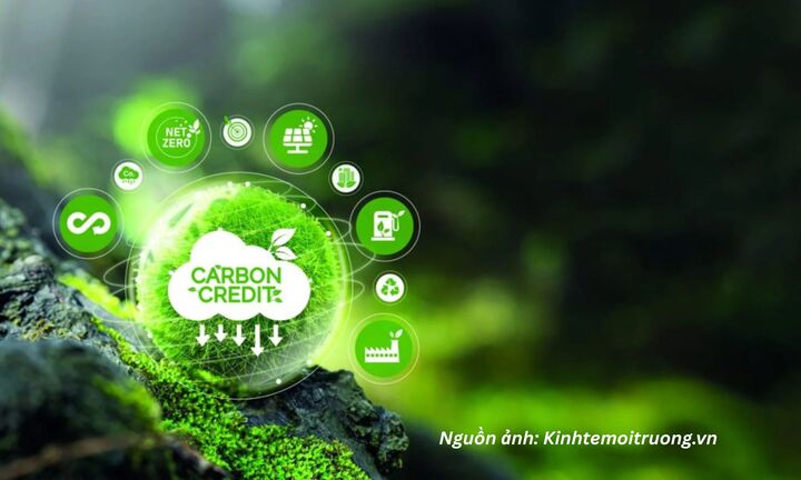 Gỡ điểm nghẽn, tạo lực đẩy cho thị trường carbon