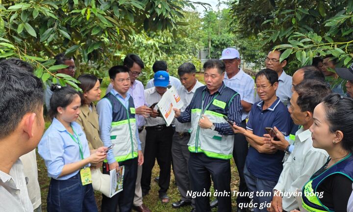 Hướng dẫn cách đăng ký điện tử mã số vùng trồng, mã số cơ sở đóng gói