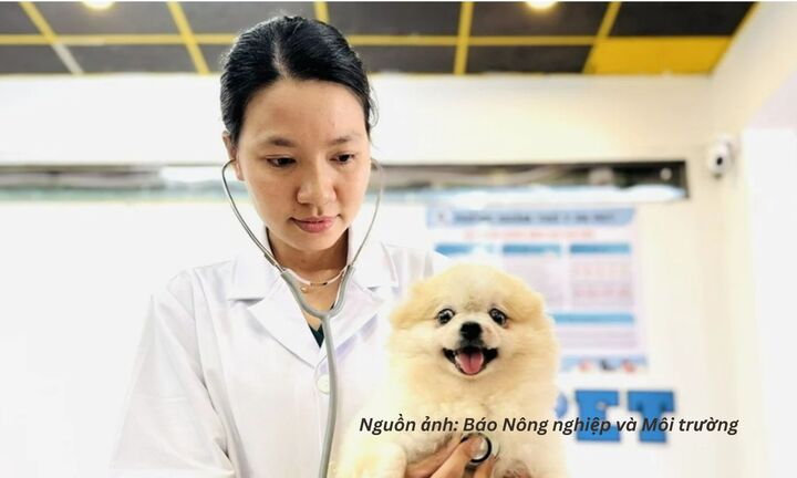 Ngành thú cưng tìm dư địa tăng trưởng từ hệ sinh thái dịch vụ