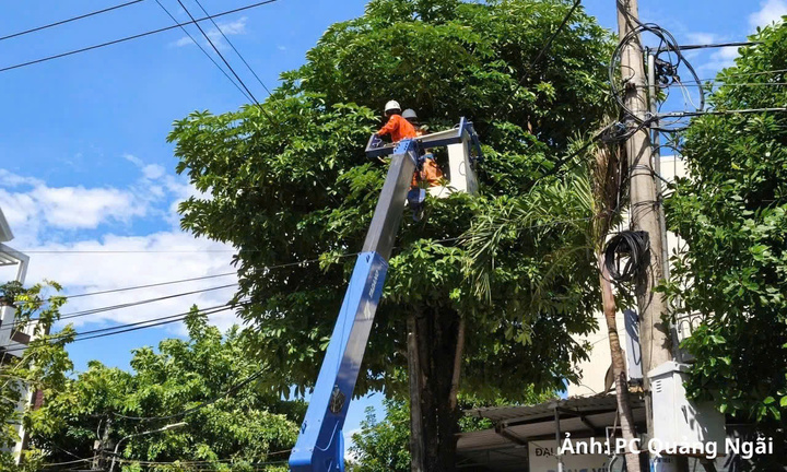 PC Quảng Ngãi chủ động phương án, đảm bảo cấp điện an toàn, liên tục dịp Quốc khánh 2/9