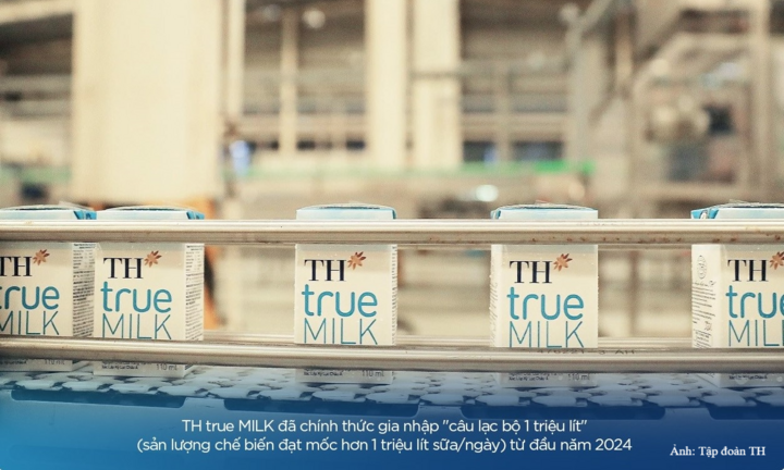 12 bước khép kín từ đồng cỏ đến ly sữa tươi sạch TH true MILK