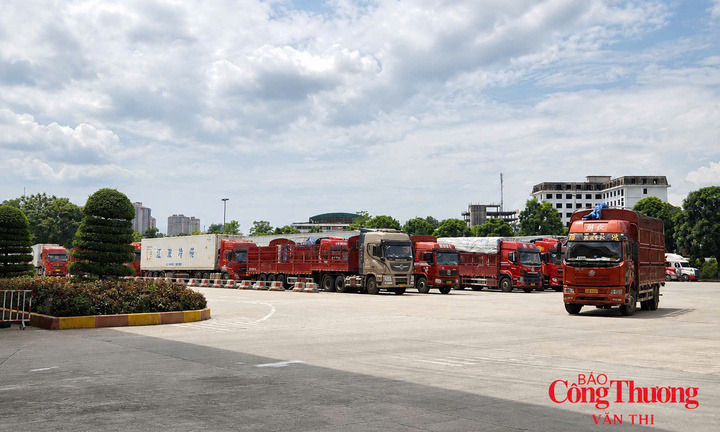 Lào Cai mở rộng không gian phát triển, hướng ra thị trường quốc tế