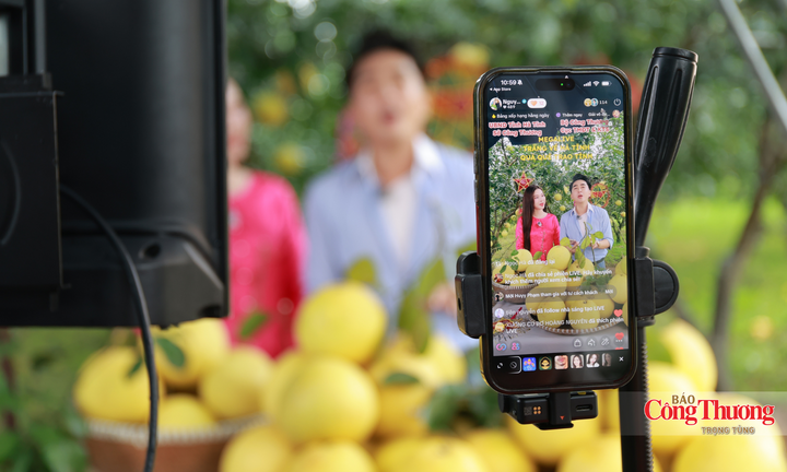 Hà Tĩnh: Đưa nông sản OCOP vươn xa qua phiên Mega Live