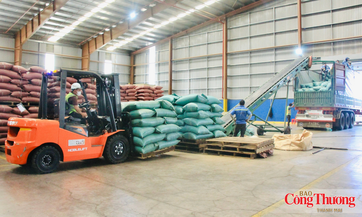 Gia Lai nâng giá trị ngành hàng xuất khẩu chủ lực