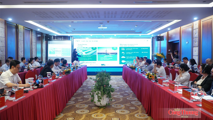 Đà Nẵng: Hợp tác đa bên thúc đẩy phát triển kinh tế xanh, tuần hoàn