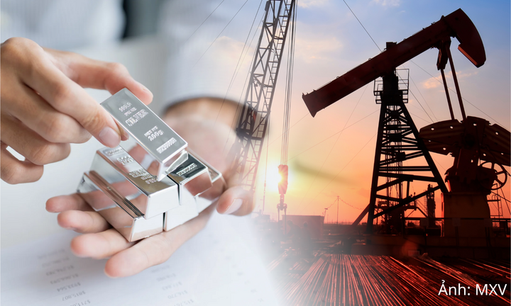 Giá bạc giảm về mức thấp nhất trong 2 tuần