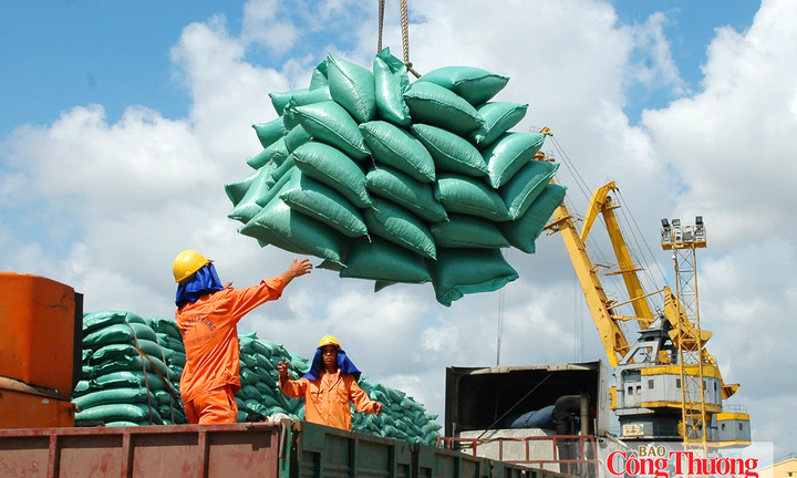 Nghị định 365/2026/NĐ-CP: Tạo thuận lợi cho kinh doanh xuất, nhập khẩu gạo