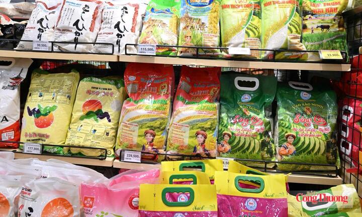 Nâng chuẩn hàng Việt để khai thác thị trường Halal tại UAE