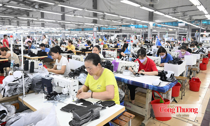 EVFTA: Rào cản từ thị trường và giải pháp để doanh nghiệp Việt vượt qua