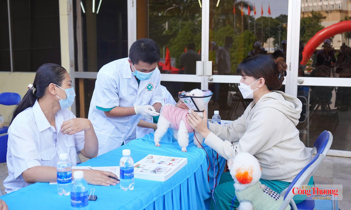Đắk Lắk tăng cường phòng bệnh dại, hướng tới không còn ca tử vong