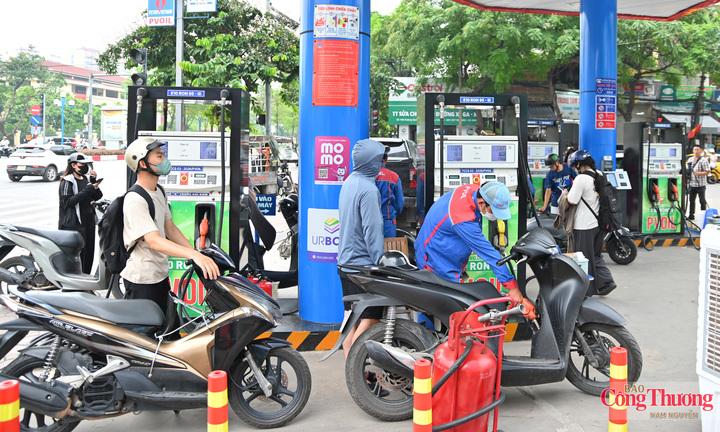 Nhiên liệu sinh học và hành trình xanh hóa ngành năng lượng