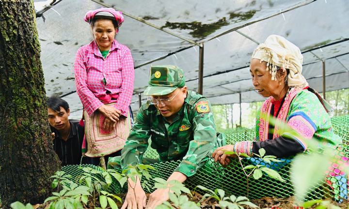 Điểm tựa sinh kế vùng biên - Bài 1: Từ câu chuyện 'lấy ngắn nuôi dài' trên đỉnh Ngài Thầu