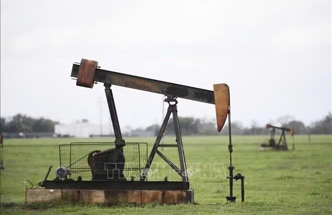Giá dầu biến động, thị trường LNG và nhiên liệu tinh chế chịu sức ép